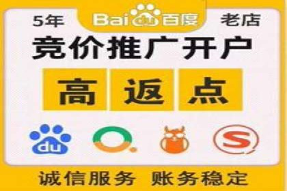 百度竞价排名策略：看这家公司如何逆袭